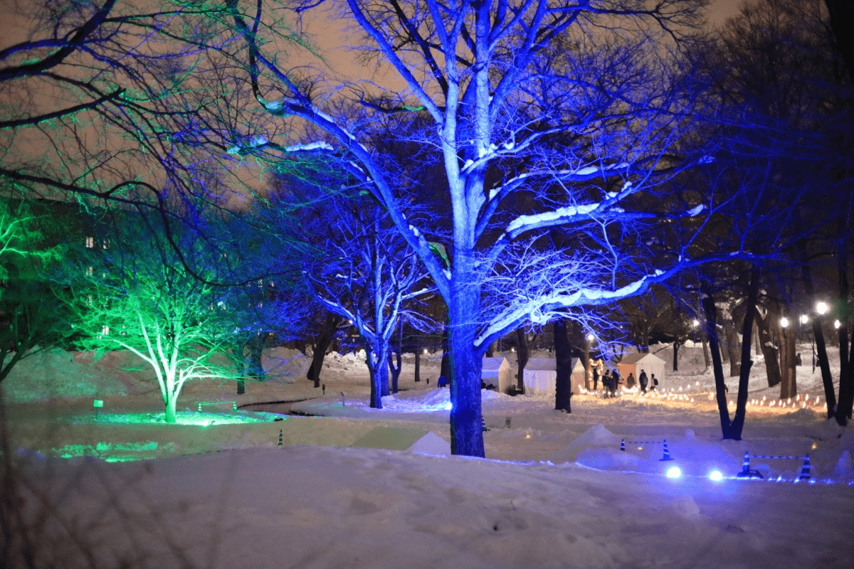 夜のライトアップの様子