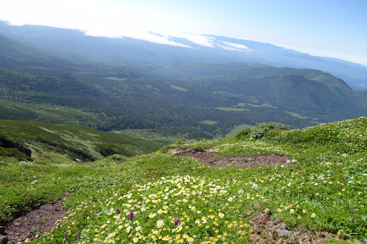 富良野岳の風景