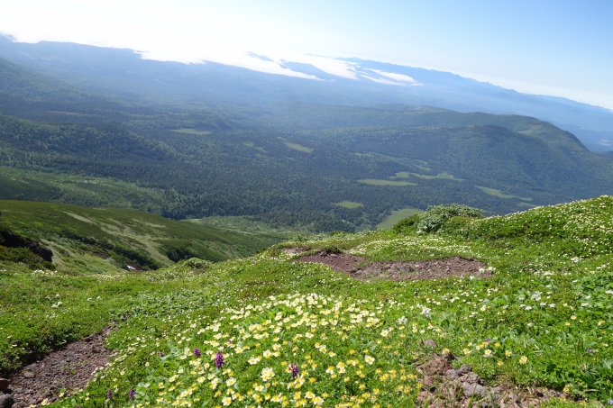 去年登った富良野岳からの景色