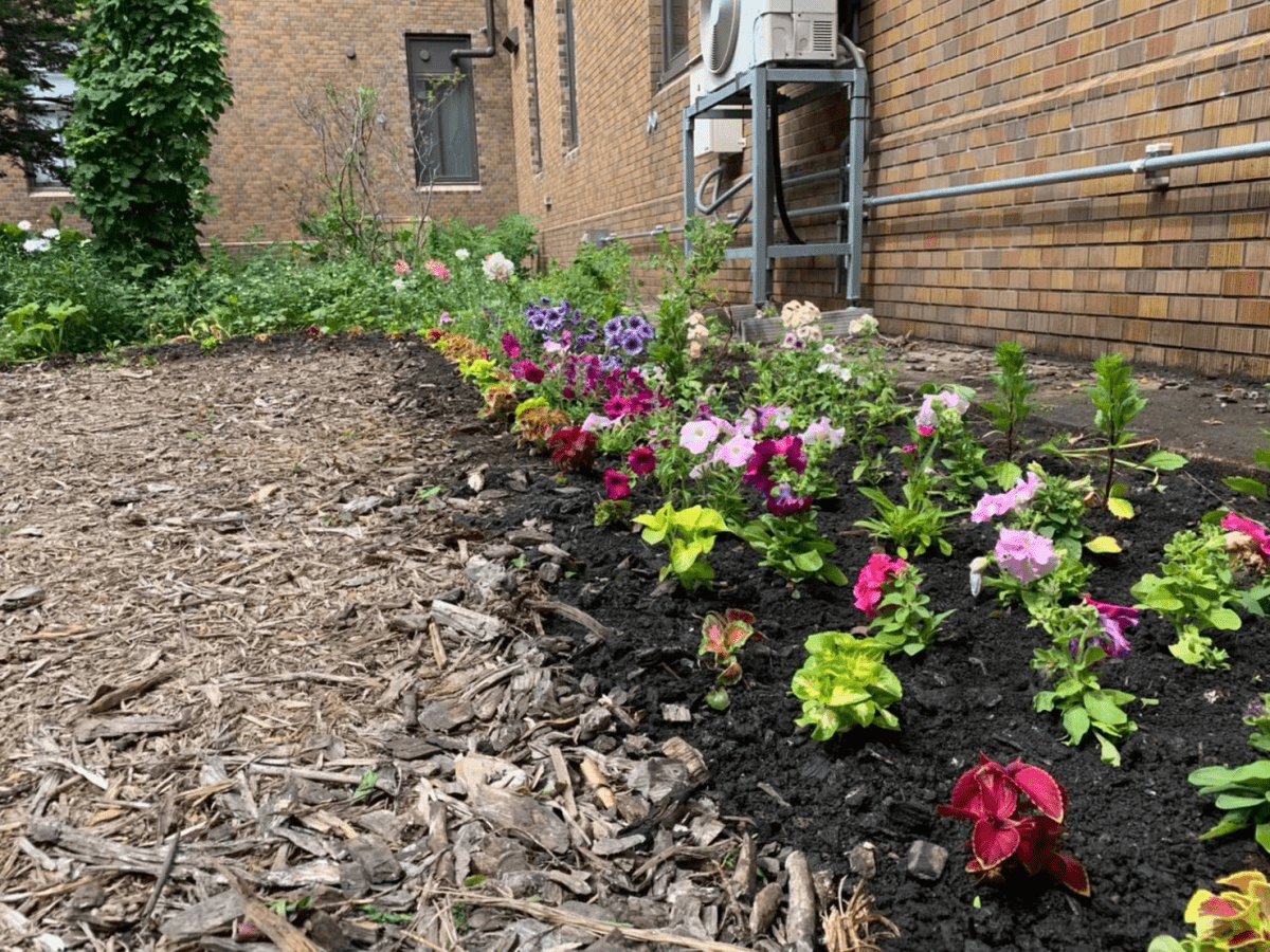 中庭の様子です！
